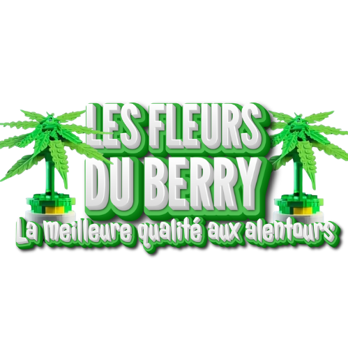 Logo LES FLEURS DU BERRY